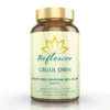 REFLOWER Cellul Dren