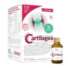 SALUGEA Cartilagea